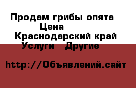 Продам грибы опята › Цена ­ 150 - Краснодарский край Услуги » Другие   